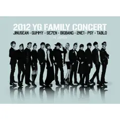 HIGH HIGH - 2012 YG Family Concert in Japan ver. Song Lyrics