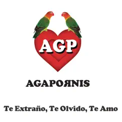 Te Extraño, Te Olvido, Te Amo - Single by Agapornis album reviews, ratings, credits