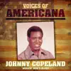 Voices of Americana: Workin' Man's Blues album lyrics, reviews, download