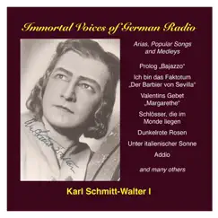 Karl Schmitt-Walter, Vol. 1: Opera, Operetta and Song by Karl Schmitt-Walter album reviews, ratings, credits