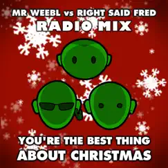 You're the Best Thing About Christmas (Radio Mix) [Mr Weebl vs. Right Said Fred] Song Lyrics