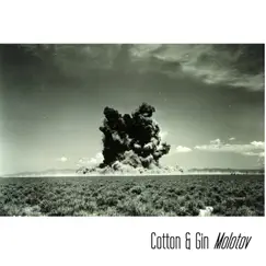 Cotton & Gin's Molotov Sampler by Cotton & Gin album reviews, ratings, credits