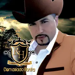 Demasiado Bonita - Single by Roberto Hernandez album reviews, ratings, credits
