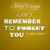 Can´T Remember to Forget You (feat. Mike Attinger) - Single album lyrics, reviews, download