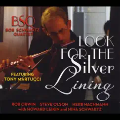 Look for the Silver Lining (feat. Tony Martucci, Nina Schwartz, Howard Leikin, Herb Nachmann, Rob Orwin & Steve Olson) Song Lyrics