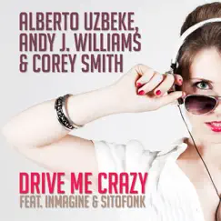 Drive Me Crazy Song Lyrics