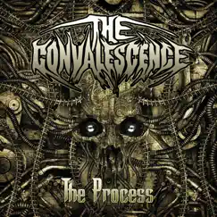 The Process by The Convalescence album reviews, ratings, credits