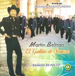 Banado En Polvo (feat. Banda Aventurero) by Martin Beltran album reviews, ratings, credits