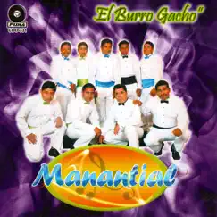 El Burro Gacho by Manantial album reviews, ratings, credits