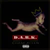 D.A.R.K. album lyrics, reviews, download