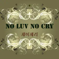 No Luv No Cry Song Lyrics