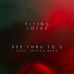 See Thru to U (feat. Erykah Badu) - Single by Flying Lotus album reviews, ratings, credits