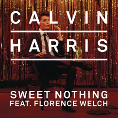 Sweet Nothing (feat. Florence Welch) [Tiësto Remix] Song Lyrics