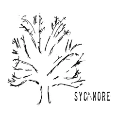 Sycamore by Abbie Jean and Friends album reviews, ratings, credits