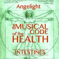 The Musical Code of the Health - Intestines - EP by Angelight album reviews, ratings, credits