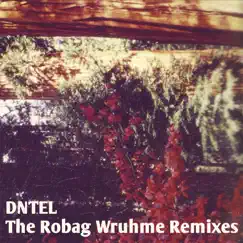 The Robag Wruhme Remixes - Single by Dntel album reviews, ratings, credits