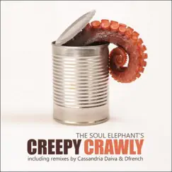 Creepy Crawly (Cassandria Daiva Drippy Juicy Remix) Song Lyrics