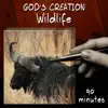 Wildlife album lyrics, reviews, download