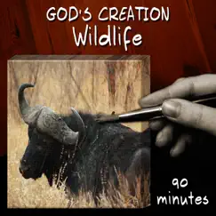 Wildlife by God's Creation album reviews, ratings, credits