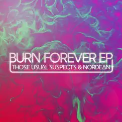 Burn Forever (Michael Brun Remix) [feat. Eric Hecht] Song Lyrics