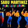 Pure Latin Drums album lyrics, reviews, download