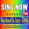 Sing Now Karaoke Plus - Jazz & Big Band Volume 2 (Performance Backing Tracks + Vocal Performance Demonstration Tracks) album lyrics, reviews, download