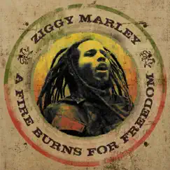 A Fire Burns For Freedom - Single by Ziggy Marley album reviews, ratings, credits