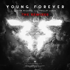 Young Forever (Andre Sobota Remix) Song Lyrics