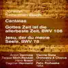 Johann Sebastian Bach : Cantatas ; Gottes Zeit ist die allerbeste Zeit, BWV 106 / Jesu, der du meine Seele, BWV 78 (1954) album lyrics, reviews, download