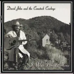 I Was Never Alone by David John and the Comstock Cowboys album reviews, ratings, credits