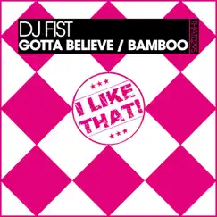 Gotta Believe (Original Mix) Song Lyrics