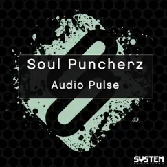 Audio Pulse Song Lyrics