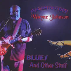 Blues & Other Stuff by Wayne Johnson album reviews, ratings, credits
