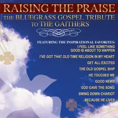Raising the Praise: The Bluegrass Gospel Tribute to the Gaithers by David Johnson album reviews, ratings, credits