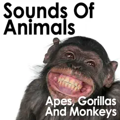 Sounds of Animals: Apes, Gorillas and Monkeys by Pro Sound Effects Library album reviews, ratings, credits