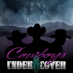 Cryin On a Suitcase - Single by Cowboys Undercover album reviews, ratings, credits