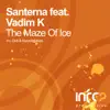 The Maze of Ice (feat. Vadim K) - Single album lyrics, reviews, download
