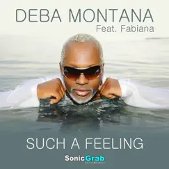 Such A Feeling (feat. Fabiana) [Slin Project & Whiteside Remix] Song Lyrics