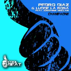 Champagne (Akizy Remix) [feat. Josefine Sinclair.] Song Lyrics