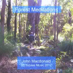 Forest Meditations by John MacDonald album reviews, ratings, credits