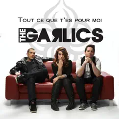 Tout Ce Que T'es Pour Moi (feat. Amasic) Song Lyrics