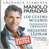 Añoranza Flamenca album lyrics, reviews, download
