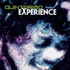 Quintorigo Experience by Quintorigo album reviews, ratings, credits