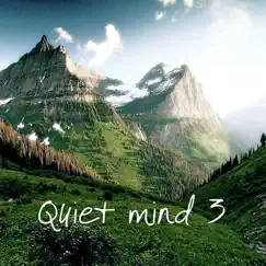 Quiet Mind, Vol. 3 (Music for Relaxation & Meditation, Yoga, Massage and Spa, World, Classical, Lounge) by Various Artists album reviews, ratings, credits