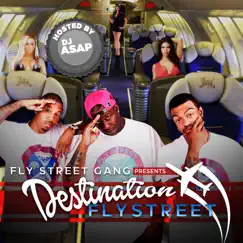 Destination Fly Street by Fly Street Gang album reviews, ratings, credits
