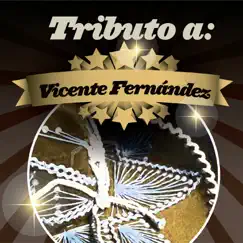 Tributo a Vicente Fernández by Hernán Carchak Band album reviews, ratings, credits