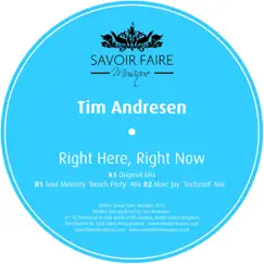 Right Here, Right Now - Single by Tim Andresen album reviews, ratings, credits