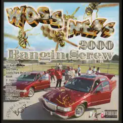 Bangin Screw 2000 by Woss Ness album reviews, ratings, credits