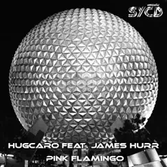 Pink Flamingo (feat. James Hurr) - Single by Hugcaro album reviews, ratings, credits