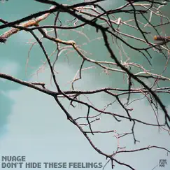 Don't Hide These Feelings - EP by NUAGE album reviews, ratings, credits